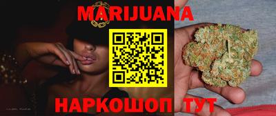 мдпв Новозыбков