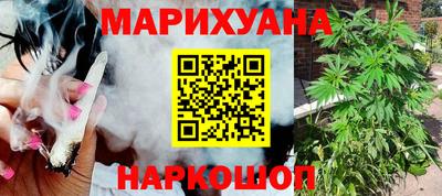индика Новокубанск