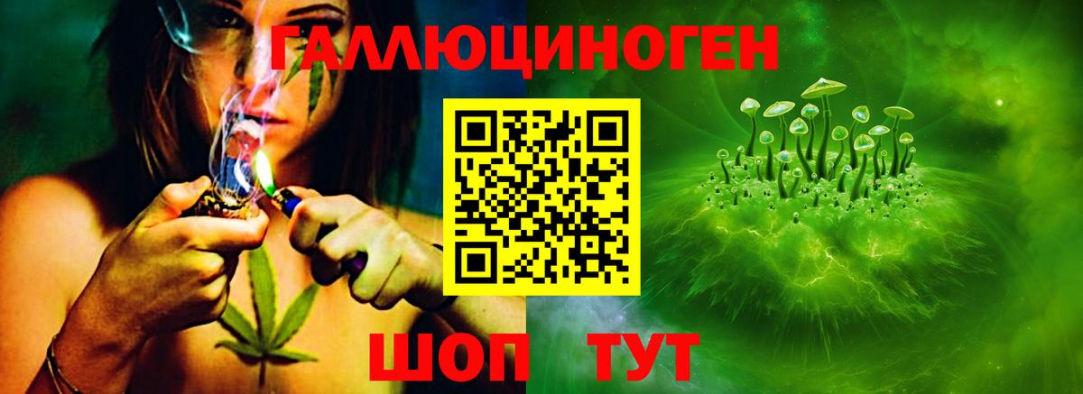 Шелехов  Псилоцибиновые грибы GOLDEN TEACHER  Вход с VPN  Псилоцибиновые грибы мухоморы 
